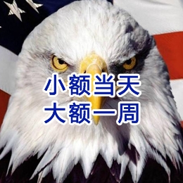 新干要账公司